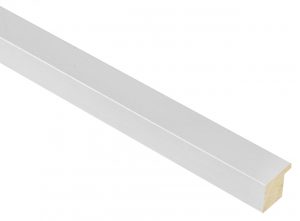 25mm 'Domino' White FSC 100%