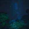 Canada Bush and Stars Print