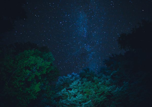Canada Bush and Stars Print