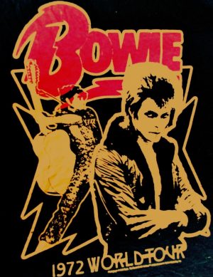 David Bowie4 - Rock Band Poster