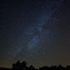 Milky Way above Trees Print