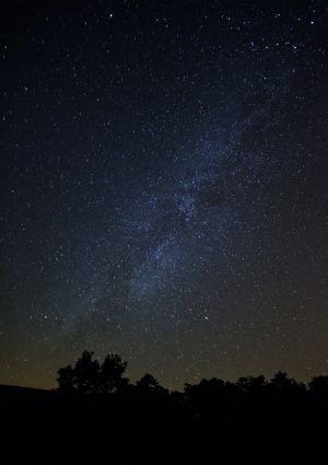 Milky Way above Trees Print