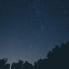 Silhouette trees under a Star Sky