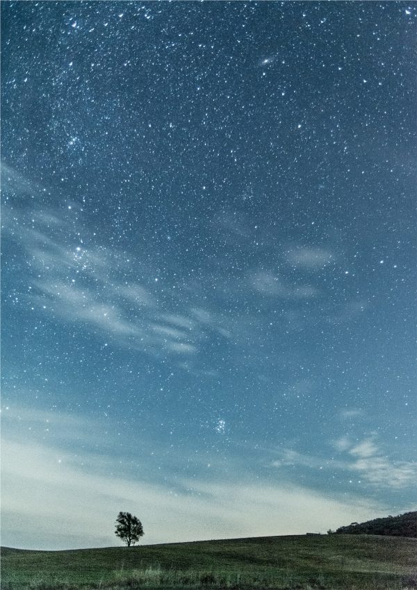 Landscape Print