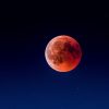 Red Moon Print