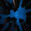 Yosemite Valley, United States Print