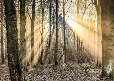 Outdoor Photography Prints