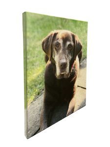 Gallery Wrapped Canvas
